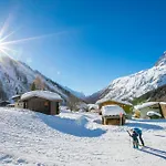 Androsace 41 - Happy * Chamonix