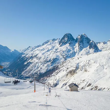 Androsace 41 - Happy *