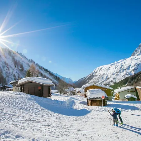 Androsace 41 - Happy * Chamonix