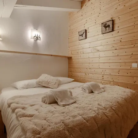 Androsace 41 - Happy Apartmán Chamonix