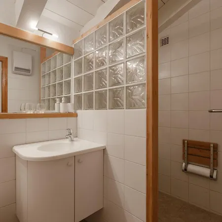 Androsace 41 - Happy * Chamonix