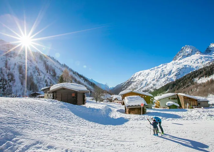 Androsace 41 - Happy * Chamonix