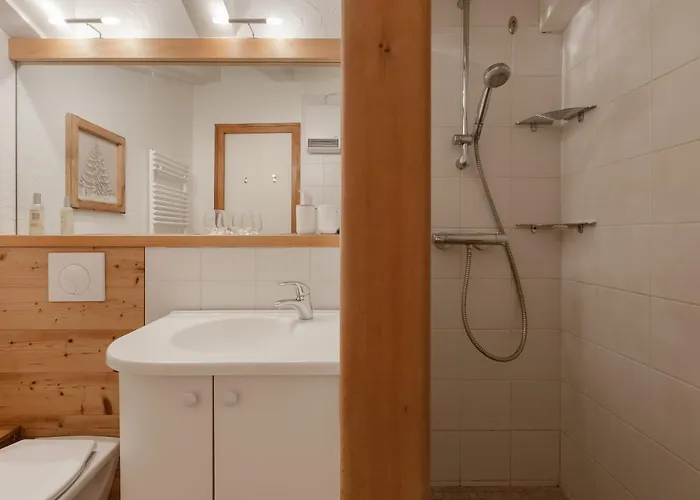 Androsace 41 - Happy *