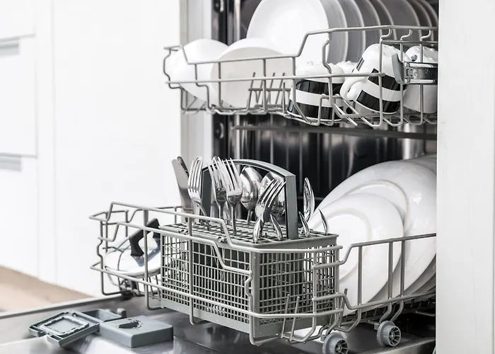 Androsace 41 - Happy